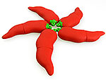 USB-Stick Chili Peperoni