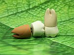 USB Stick Zahn