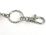 Z02 Karabiner