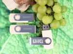 usb stick wein und trauben